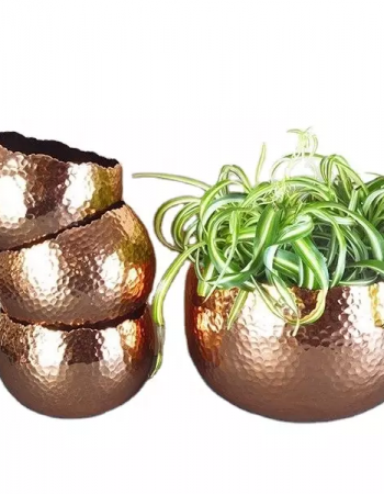 TMC 1604